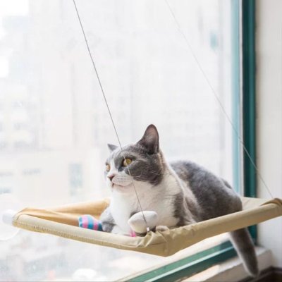 Arsimo Cama Yapışan Kedi Yatağı